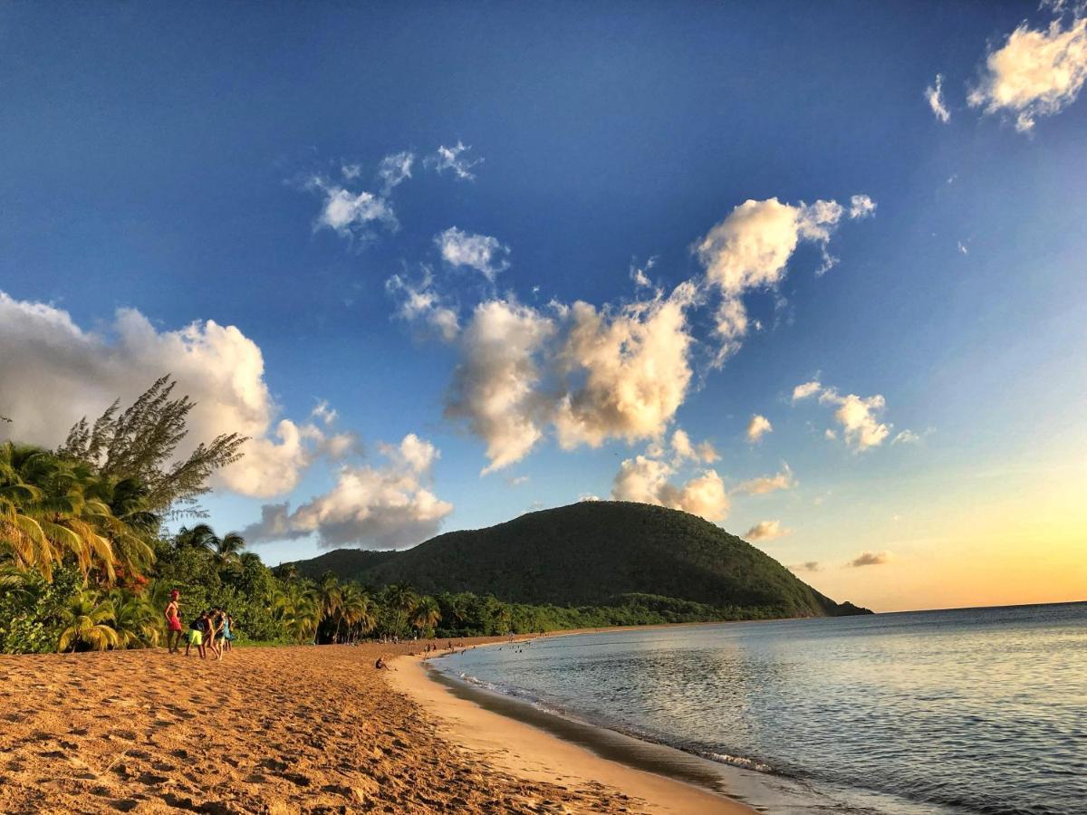 Le Surf Lodge, Chambre Avec Vue Mer Dans Un Ecrin De Verdure 데샤이에스 외부 사진