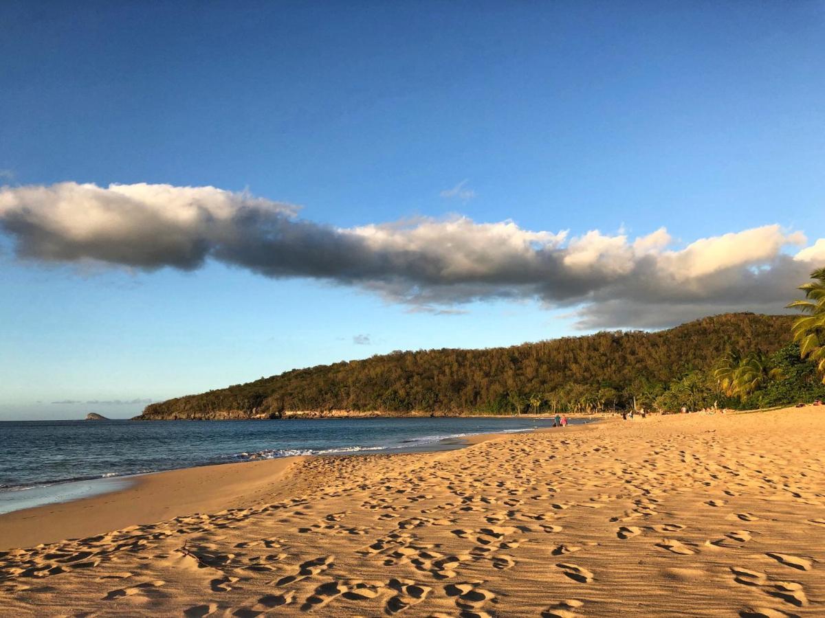 Le Surf Lodge, Chambre Avec Vue Mer Dans Un Ecrin De Verdure 데샤이에스 외부 사진