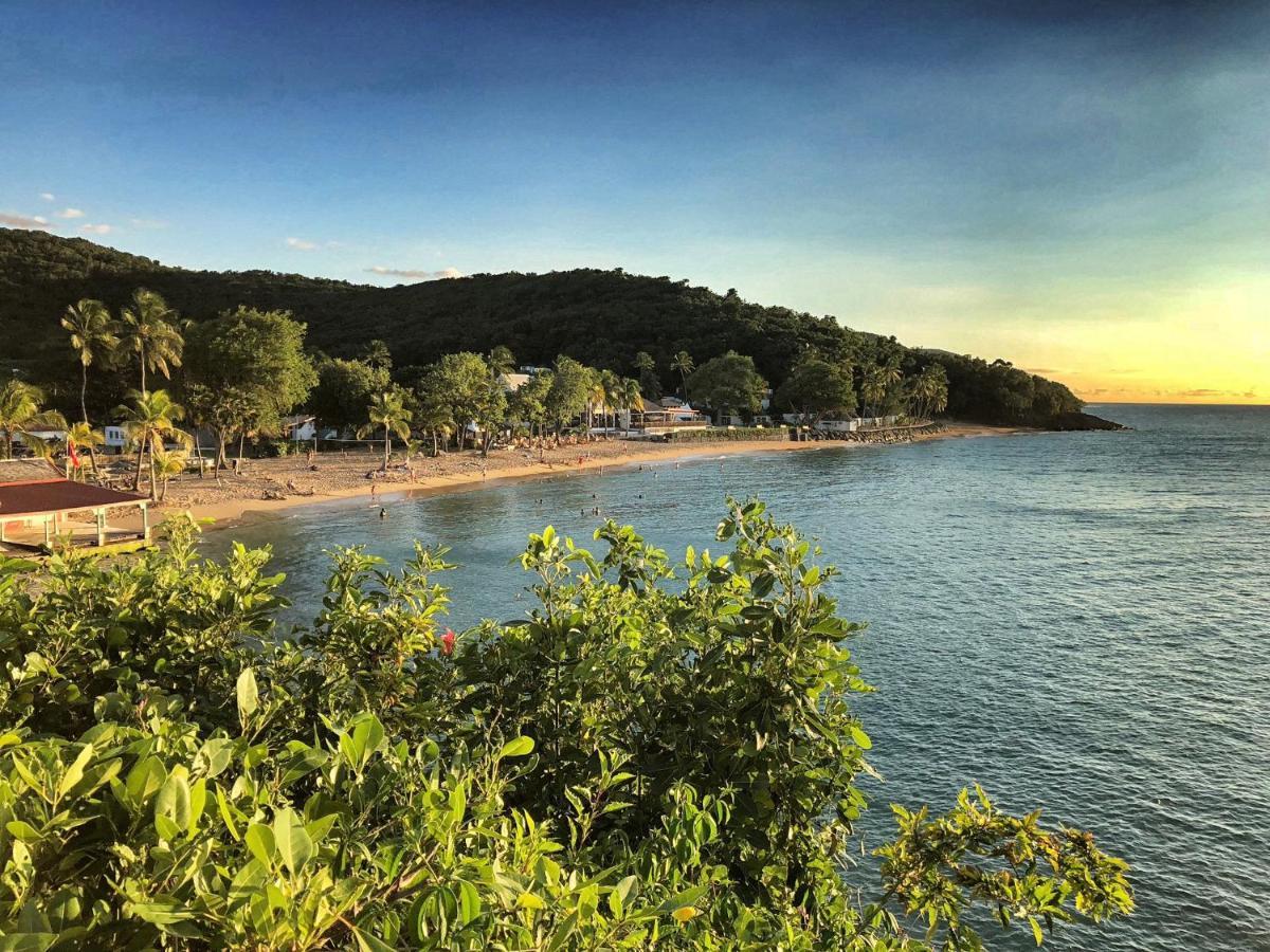 Le Surf Lodge, Chambre Avec Vue Mer Dans Un Ecrin De Verdure 데샤이에스 외부 사진